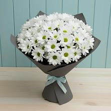 Букет белые хризантемы #REPLACE_PRED# Абазе Букет цветов из:  Хризантемы #REPLACE_PRED# Абазе