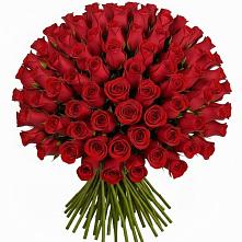Букет Красные розы Чери Лав в Абазе